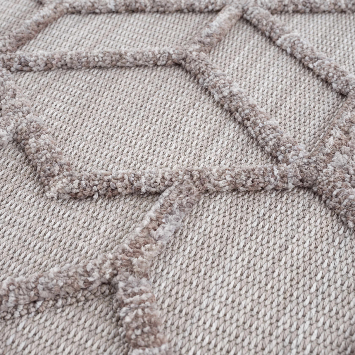 Borbon Area Rug