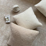 2-Piece Coordinated Pillow Bundle with Inserts – Beautiful combination Throw Pillow With Inserts, mixed well of one color of each 18"x18" Square –...