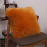 Pack of 1 Furry fur (front) Faux (back) pillow 3 sizes and colors options, Blue, fur, 18X18 – Fancy & Stacy