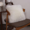 Pack of 1 Furry fur (front) Faux (back)Throw pillow cover 3 sizes and colors options