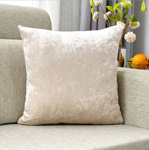 Velvet Home Decoration Throw Pillows (With 450g Inserts) size 18"x18"