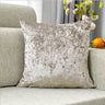 Set of 2  Velvet Home Decoration Throw Pillows (With 450g Inserts) size 18"x18'