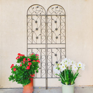 Rustproof Metal Garden Trellis Set with Reliable Plant Support - Brown