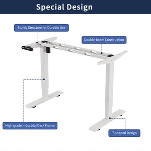 55"×24" Light Electric Standing Desk