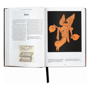 The Book of Symbols. Reflections on Archetypal Images (English)