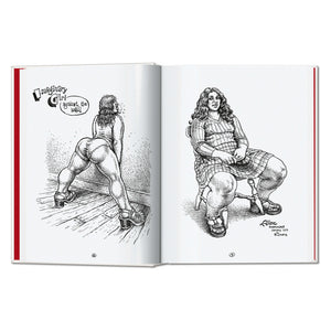 Robert Crumb. Sketchbook Vol. 3. 1975–1982 (English)