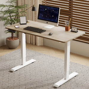 55"×24" Light Electric Standing Desk