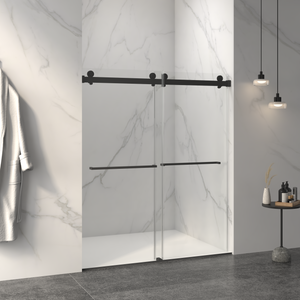 Frameless Double Sliding Shower Door