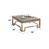 Damien Beige Fabric & Champagne Finish Cocktail Ottoman