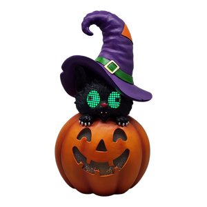 Cat On Pumpkin  With Moving Digital Eyes