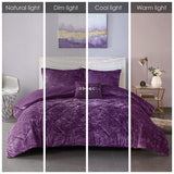 Velvet comforter set - 1  twin/twin xl