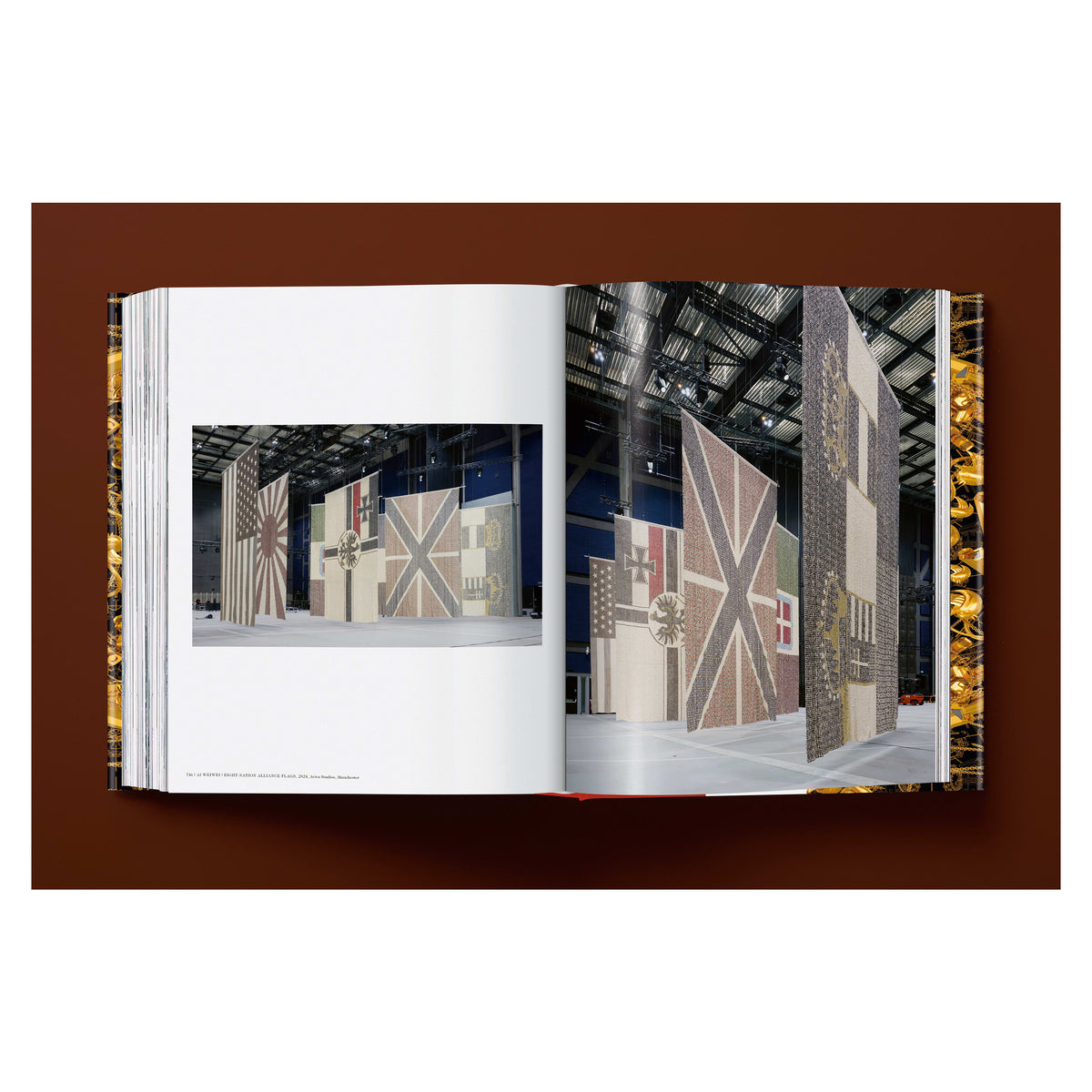 Ai Weiwei. Updated Edition (German, French, English)