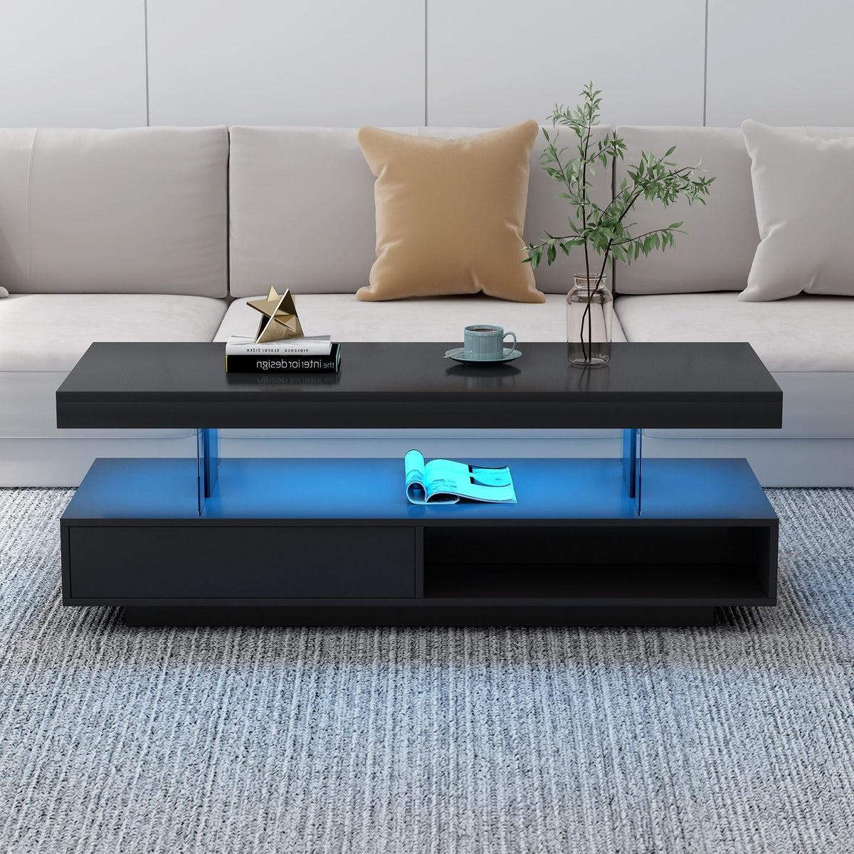 LED Coffee Table with 2 Drawers and Display Shelves - Black or White