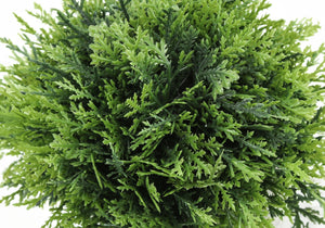 5" Tall Artificial Grass Plants Indoor Faux Set of 3
