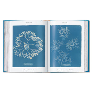 Anna Atkins. Cyanotypes. 45th Ed. (German, French, English)