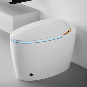 Unique Smart Toilet with Built-in Bidet