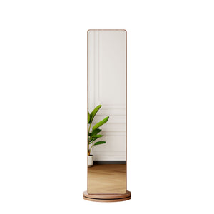 3 In 1 Multifunctional Full Length Clothing Mirror