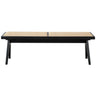 Keira - Modern Aesthetics Bench