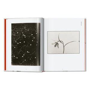 Karl Blossfeldt. The Complete Published Work. 45th Ed. (German, French, English)