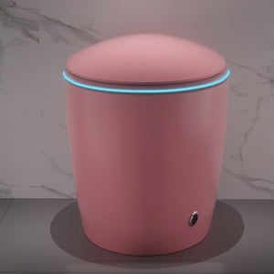 Unique Smart Toilet with Bidet Built-In