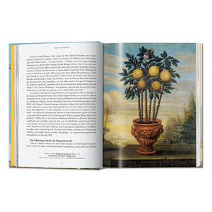 J. C. Volkamer. The Book of Citrus Fruits. 45th Ed. (German, French, English)