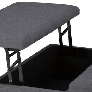 Ellis - Coffee Table Storage Ottoman Contemporary Design