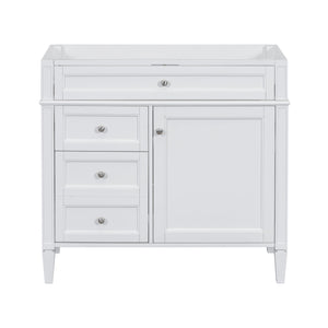 Bathroom Vanity With 2 Drawers and Tip-Out Drawer Storage Cabinet