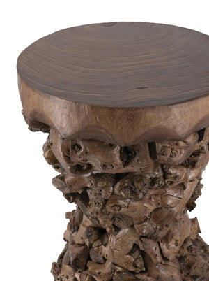 Brown Mulberry and Paulownia Wood Accent Table with Organic Tree Root Base