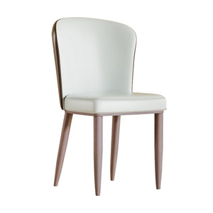 Dining Chair With Carbon Steel Legs, Comfortable Seating, (Set of 2) - White