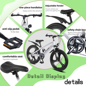 20 Inch Kids Mountain Bike