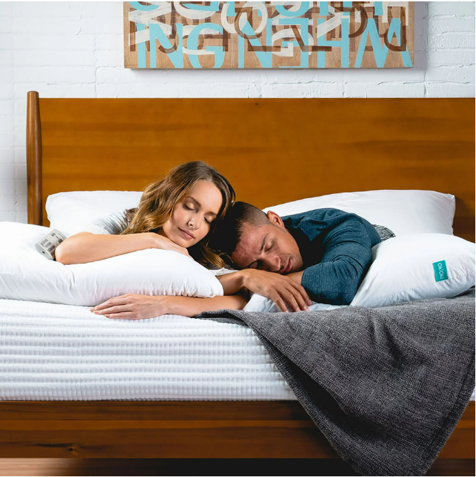 Premium Down-Alternative Bed Pillow