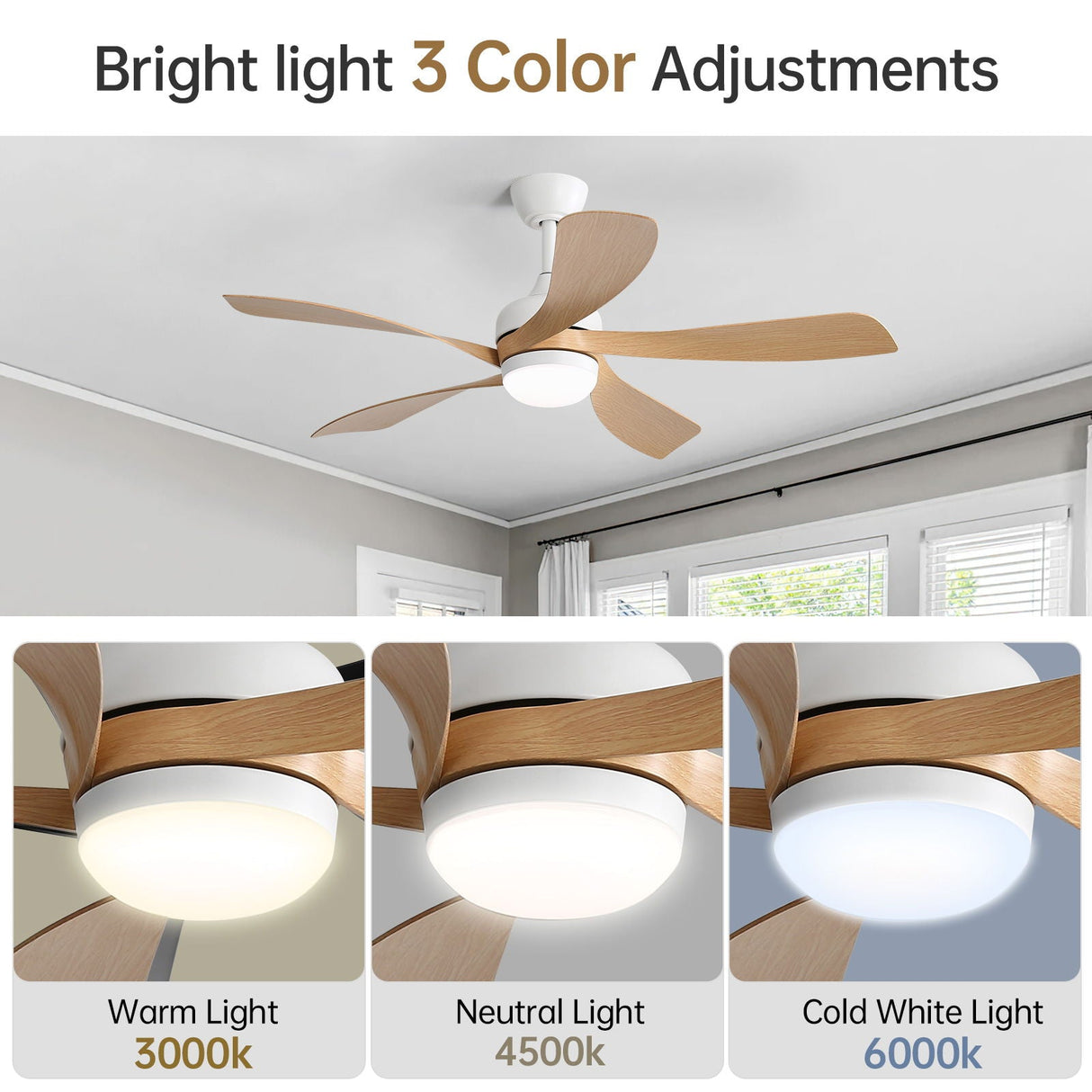 Ceiling Fan & DC Motor And Integrated Light