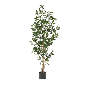 Artificial Laurel Tree