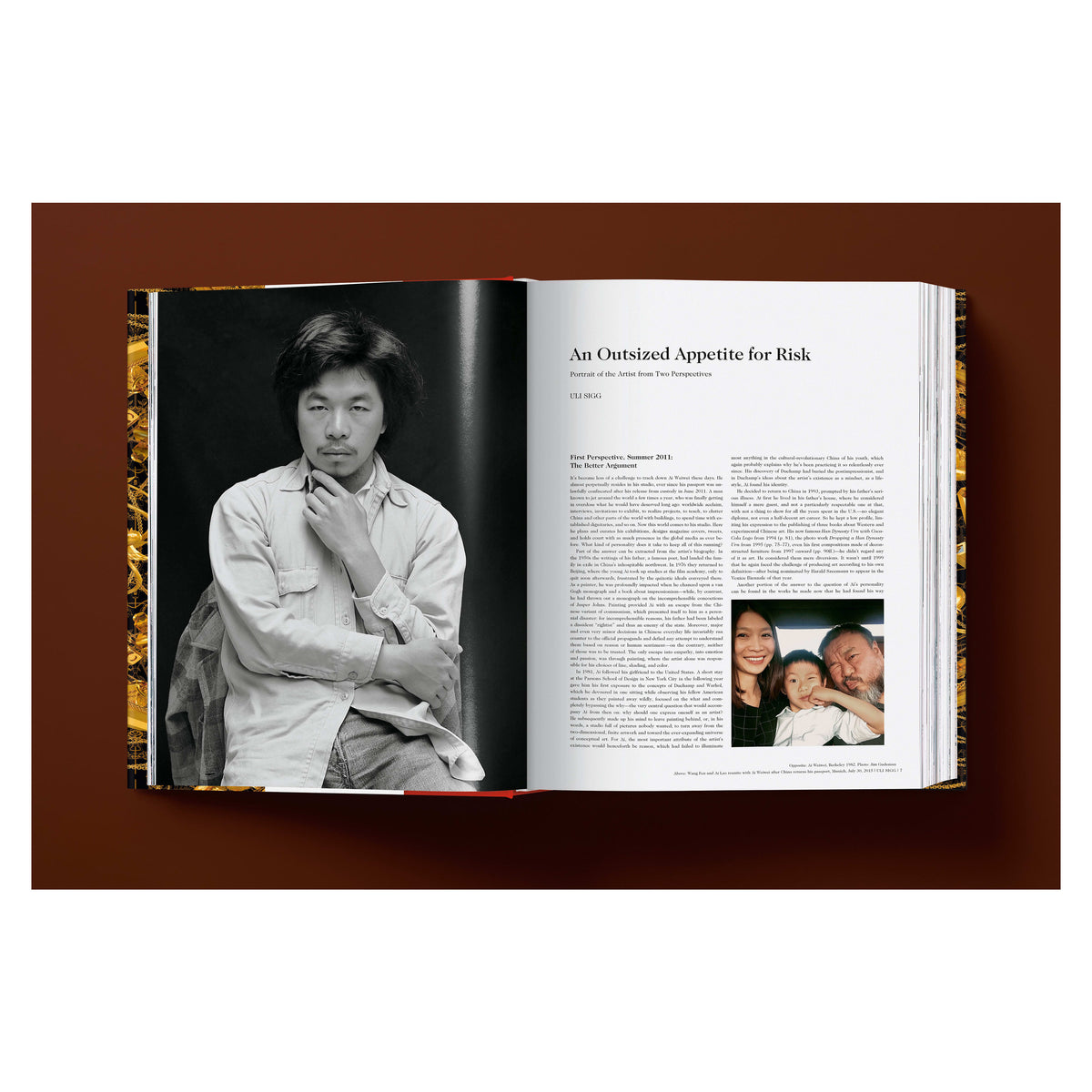 Ai Weiwei. Updated Edition (German, French, English)