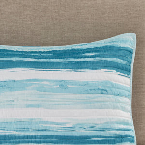 6 Piece Printed Quilt Set with Throw Pillows Aqua Full/Queen