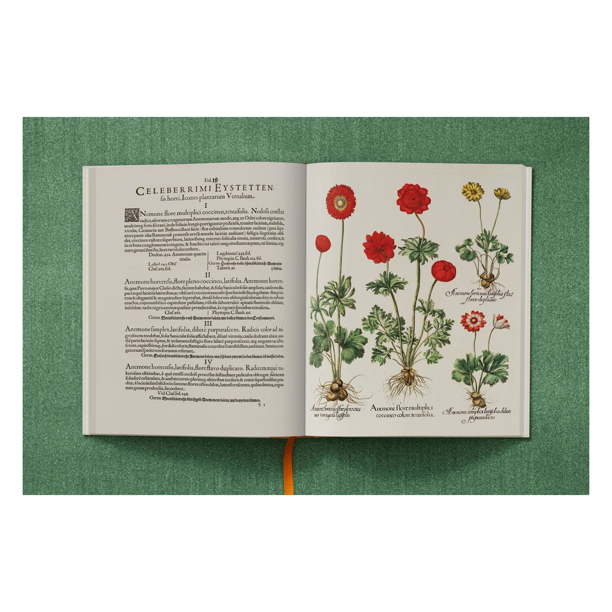 Basilius Besler. The Garden at Eichstätt (German, French, English) (FFE)