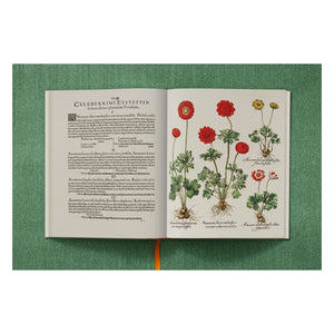 Basilius Besler. The Garden at Eichstätt (German, French, English) (FFE)