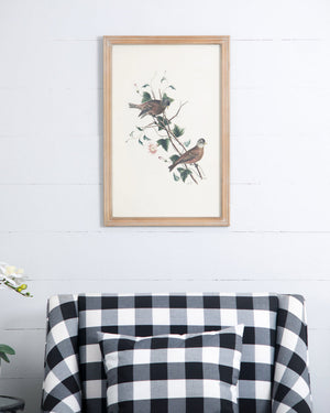 Set of 4 Bird Framed Prints