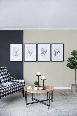 Verdura Botanica: Four-Print Houseplant Pencil Art Set