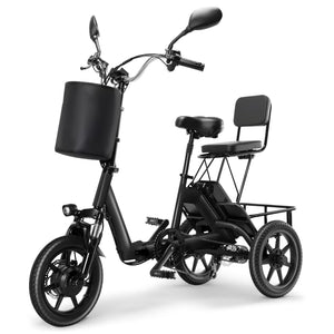 Folding Electric Trike with 350W Peak Motor and 480Wh Removable Battery