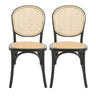 Vintage Style Dining Chairs (Set of 2)