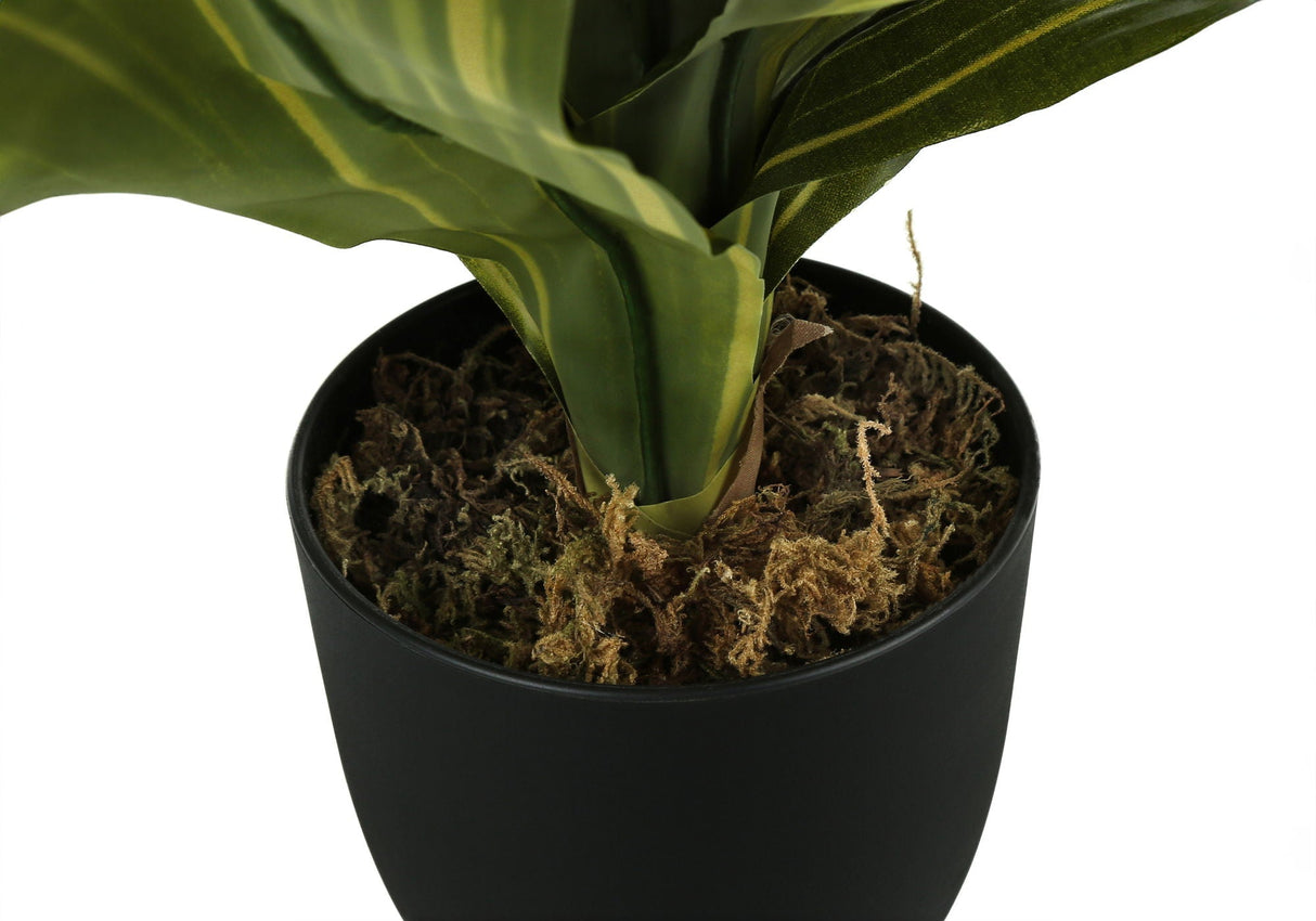 17" Tall Artificial Dracaena Plant