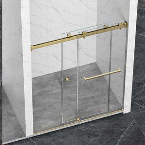 Frameless Shower Door with Double Sliding Design