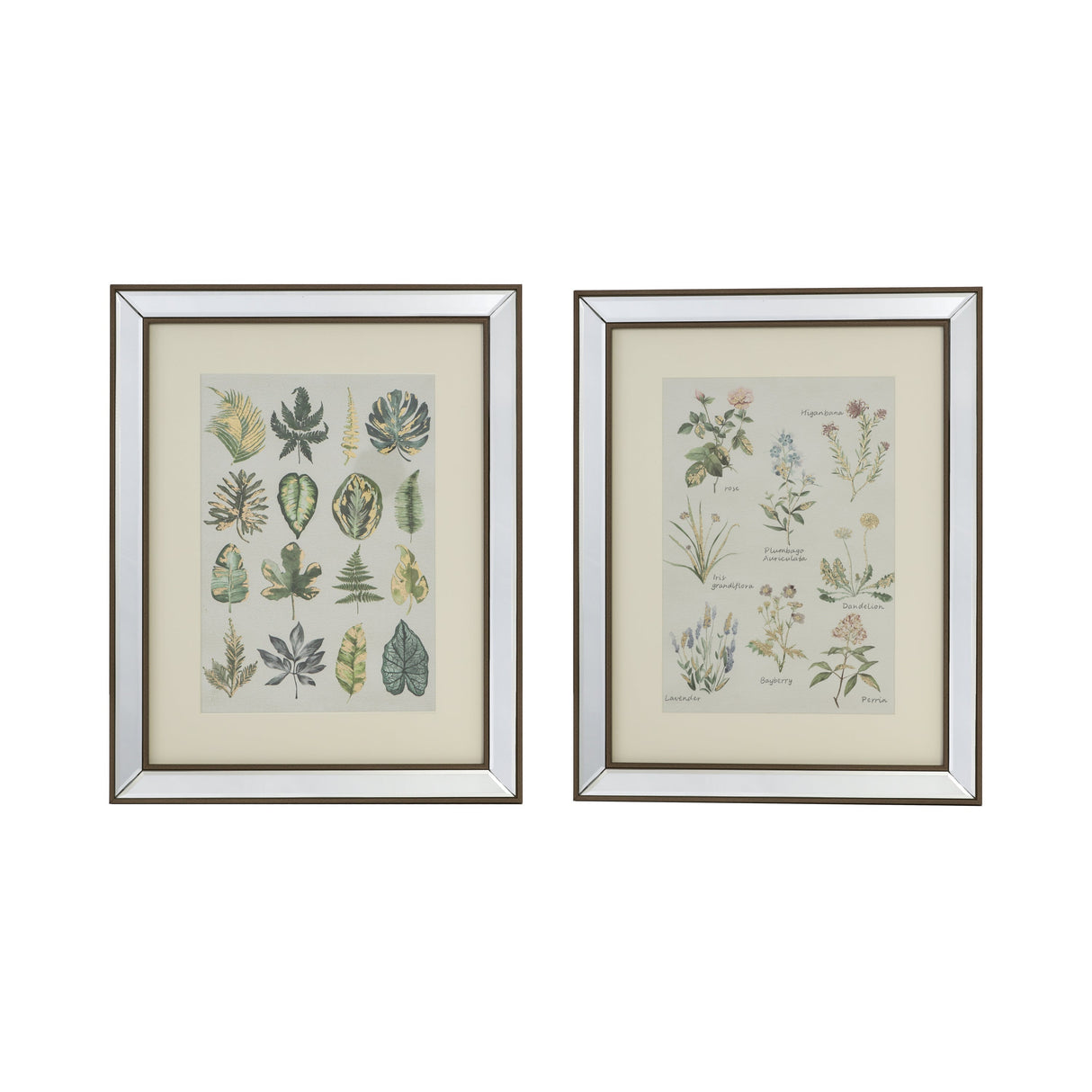 S/2 15.7x19.7" Liana Mirror Framed Wall Art on Mellow Golden Tint Background