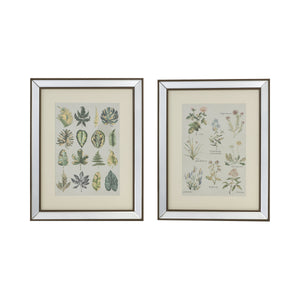 Liana Mirror Framed Wall Art Set with Botanical Designs - Golden Tint