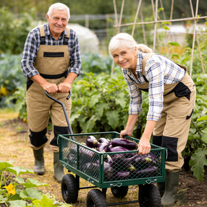 Wagon Cart Garden Cart