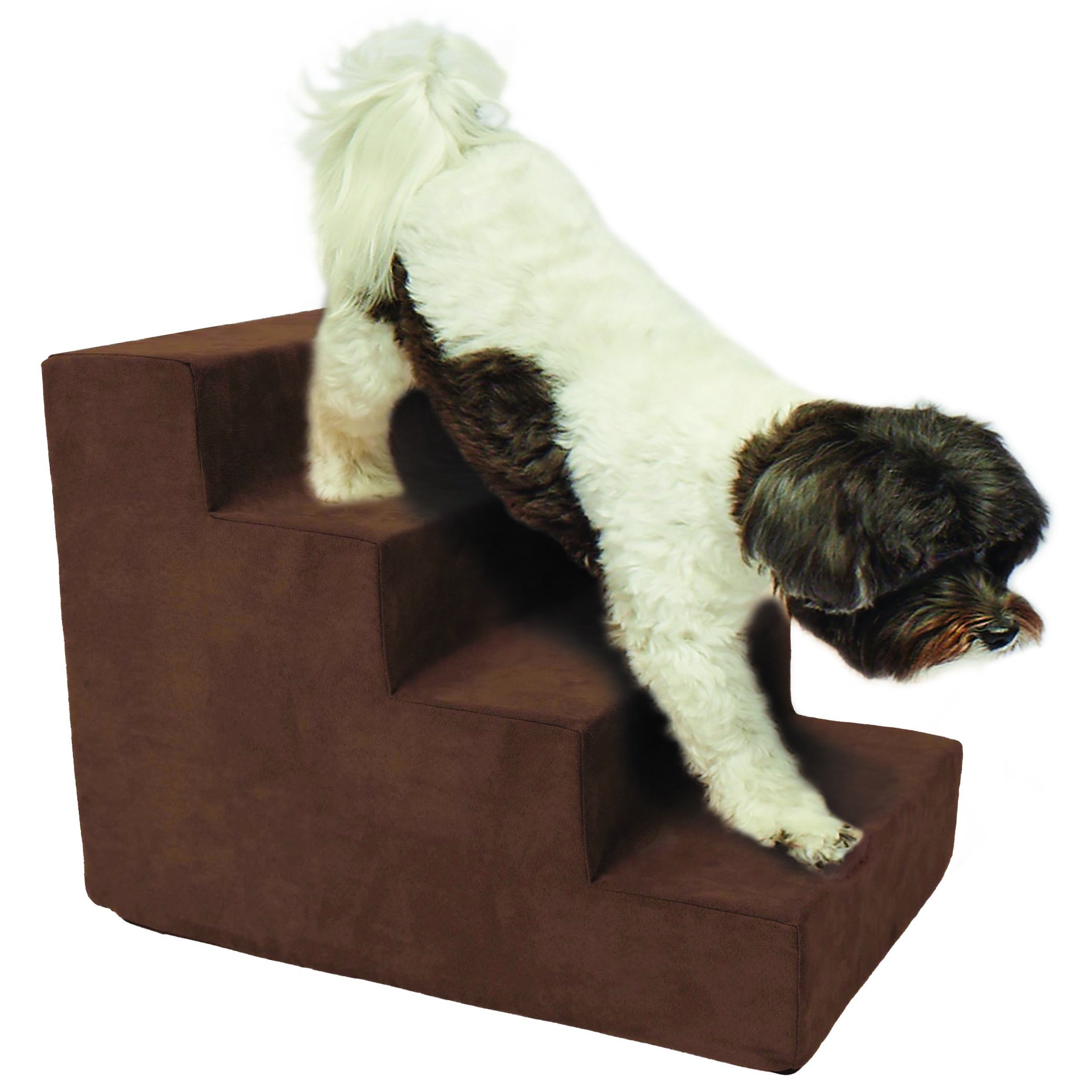 Steps To A Healthier, Younger Tails Age - 7j1jwgb