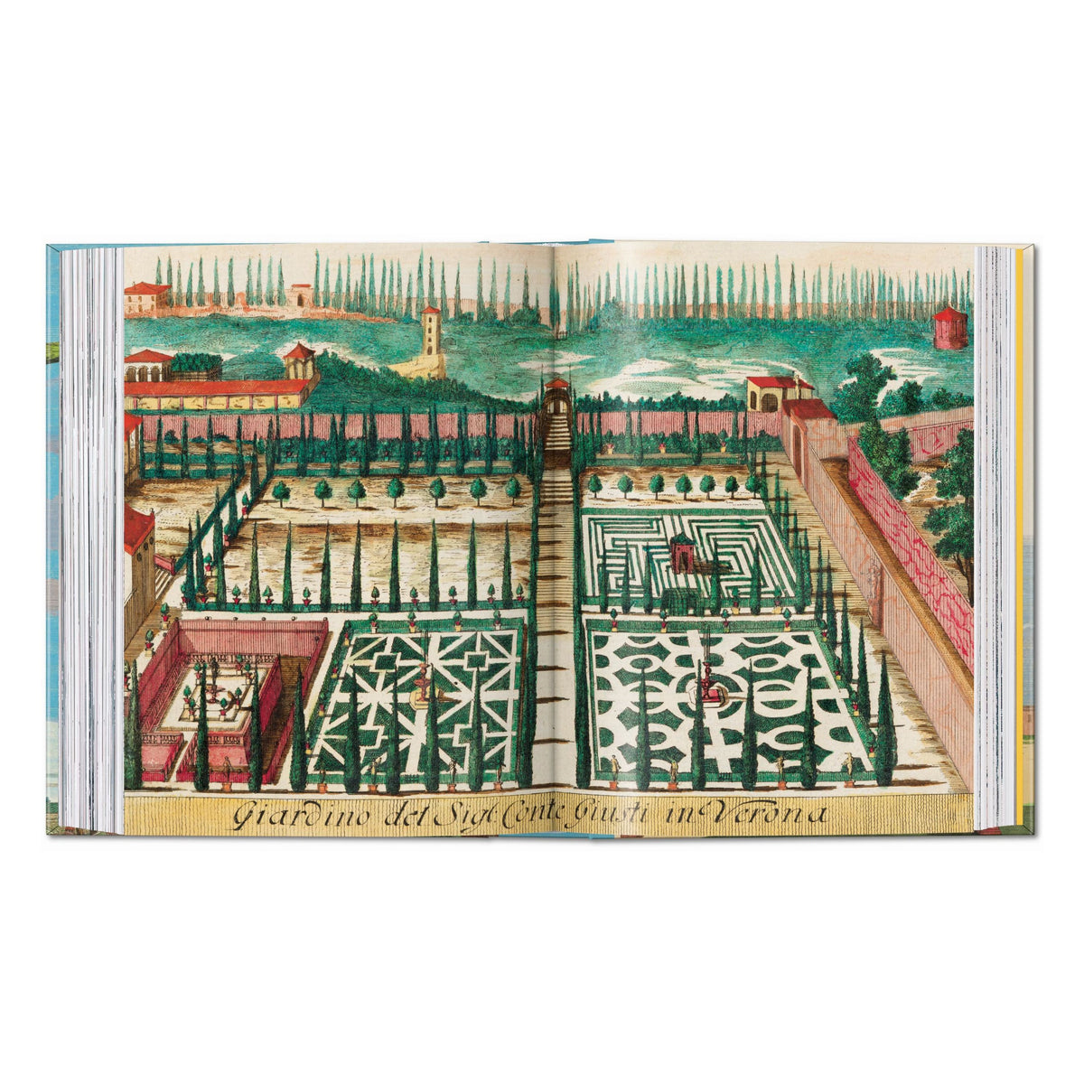 J. C. Volkamer. The Book of Citrus Fruits. 45th Ed. (German, French, English)