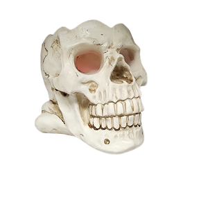 Lighted Smoking Skull