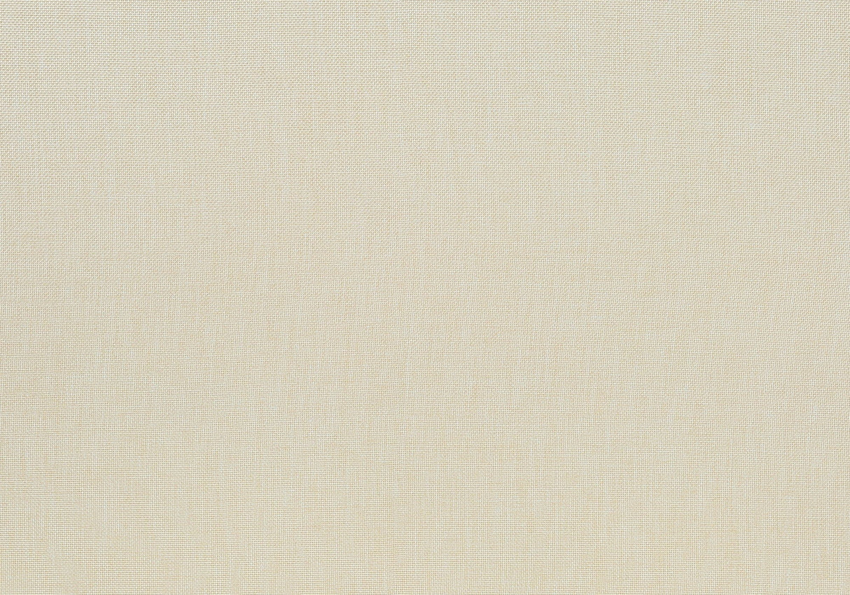 Dining Chair, Upholstered, Dining Room, Transitional (Set of 2) - Cream